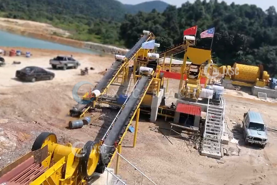 CIL Gold Processing Plant