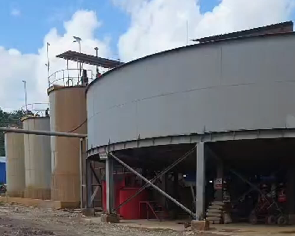 Gold Carbon-In-Pulp