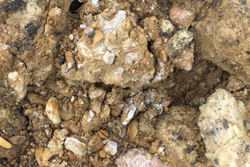 Placer Gold Deposits