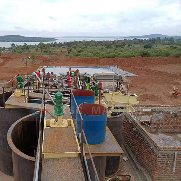 Ore dressing leaching reagents used in gold CIP site