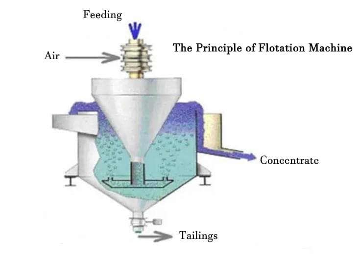 Principle of Flotation Machine