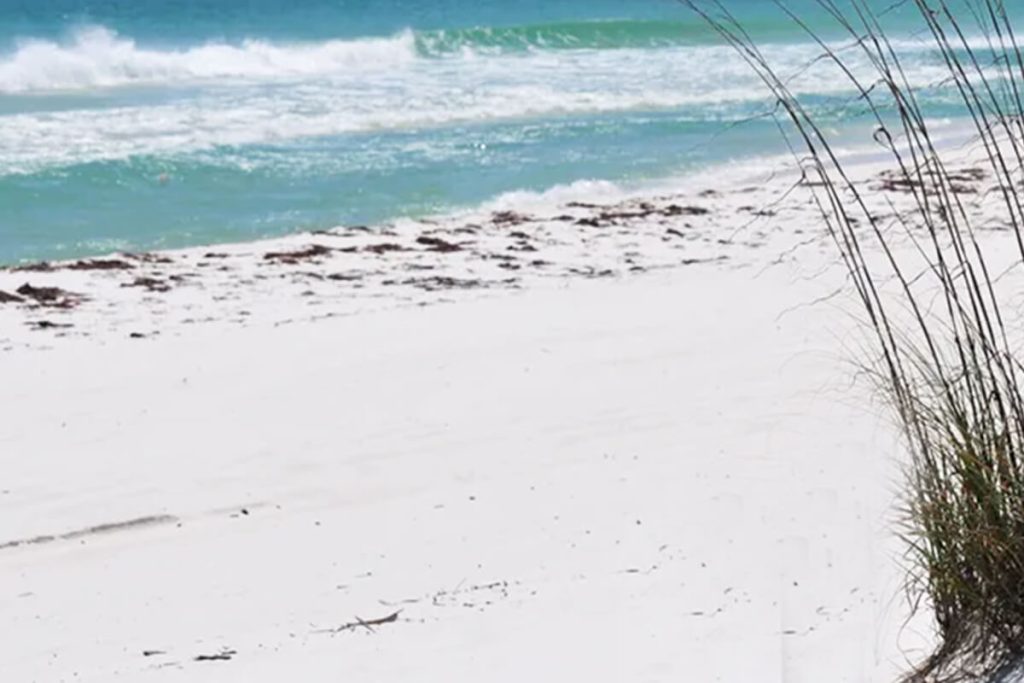 What Is Beach Sand